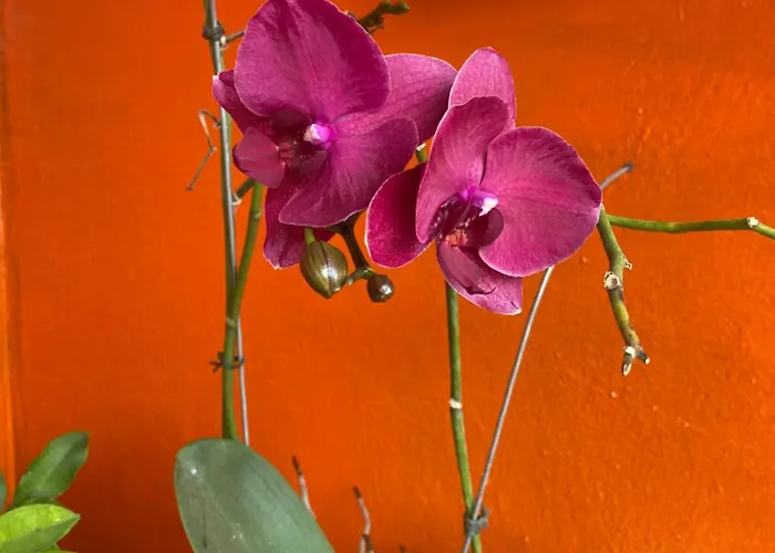 Pousada Fraga